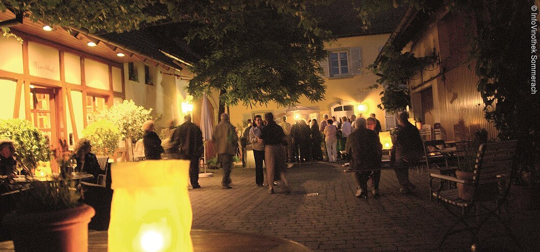 Silvaner bei Nacht (Sommerach a.Main, Fränkisches Weinland)