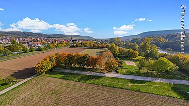 Wohnmobilstellplatz (Thüngersheim, Fränkisches Weinland) default
