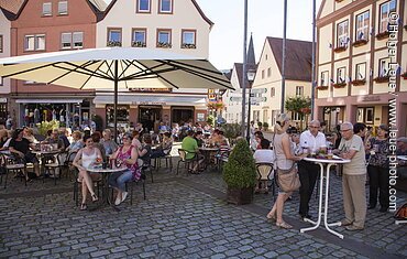 Gemünden am Main, Spessart-Mainland, Bavaria, Germany