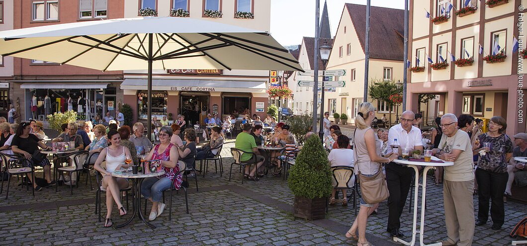 Gemünden am Main, Spessart-Mainland, Bavaria, Germany