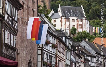 Miltenberg, Spessart-Mainland, Franconia, Bavaria, Germany