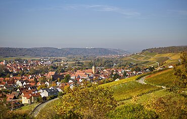 Landschaft mit Weinbergen, einem Dorf mit roten D&auml;chern und einem Kirchturm, umgeben von H&uuml;geln und W&auml;ldern.