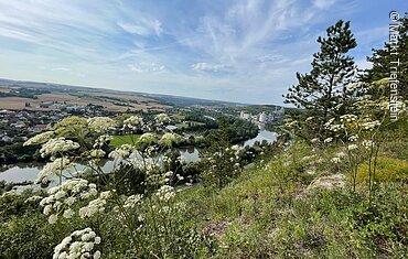 Blick von einem Hang mit wei&szlig;en Bl&uuml;ten auf einen Fluss, H&auml;user, Felder unter blauem Himmel.