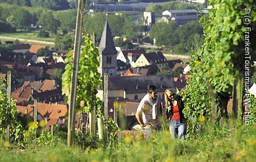 Weinberg bei Randersacker