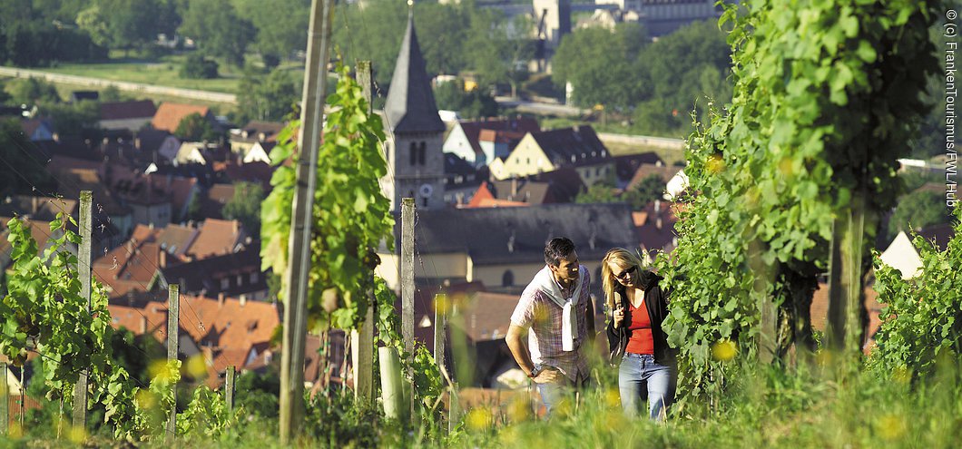 Weinberg bei Randersacker