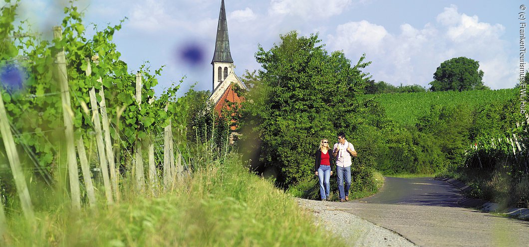 Weinberg bei Randersacker