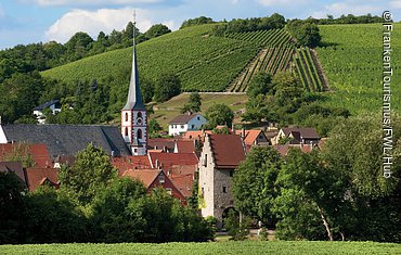 Weinberge bei Frickenhausen