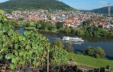 Blick auf den Main (Bürgstadt, Spessart-Mainland)