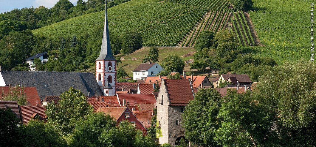 Weinberge bei Frickenhausen