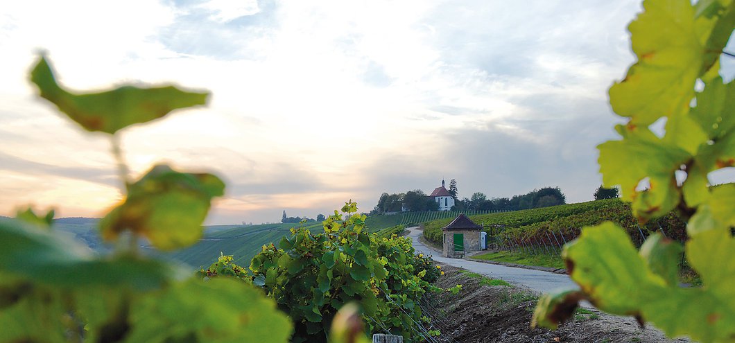 Maria im Weingarten (Volkach, Fränkisches Weinland)